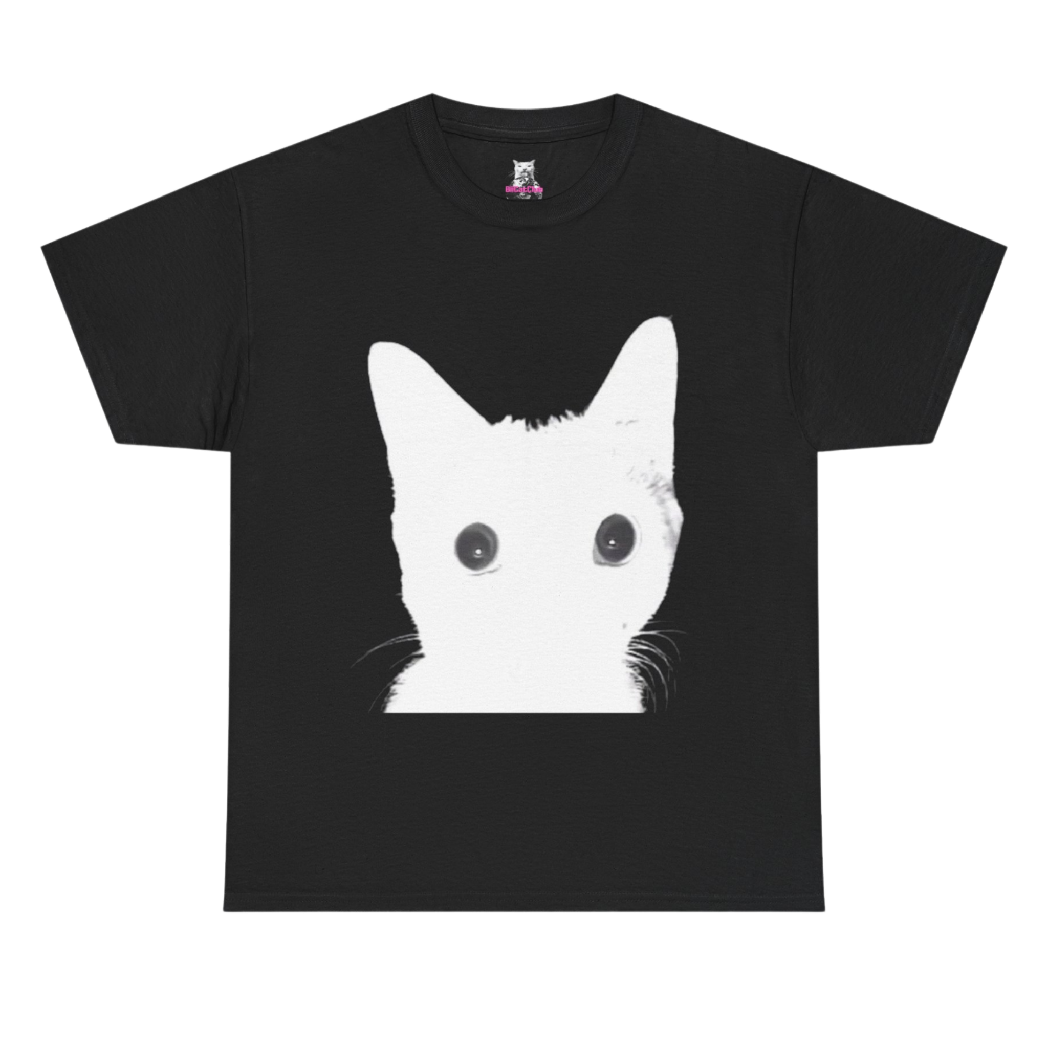 Flash Cat T-Shirt — Vintage Meme Cat Tee