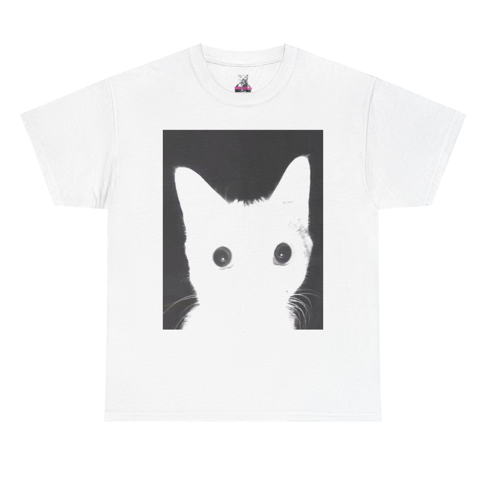 Flash Cat T-Shirt — Vintage Meme Cat Tee